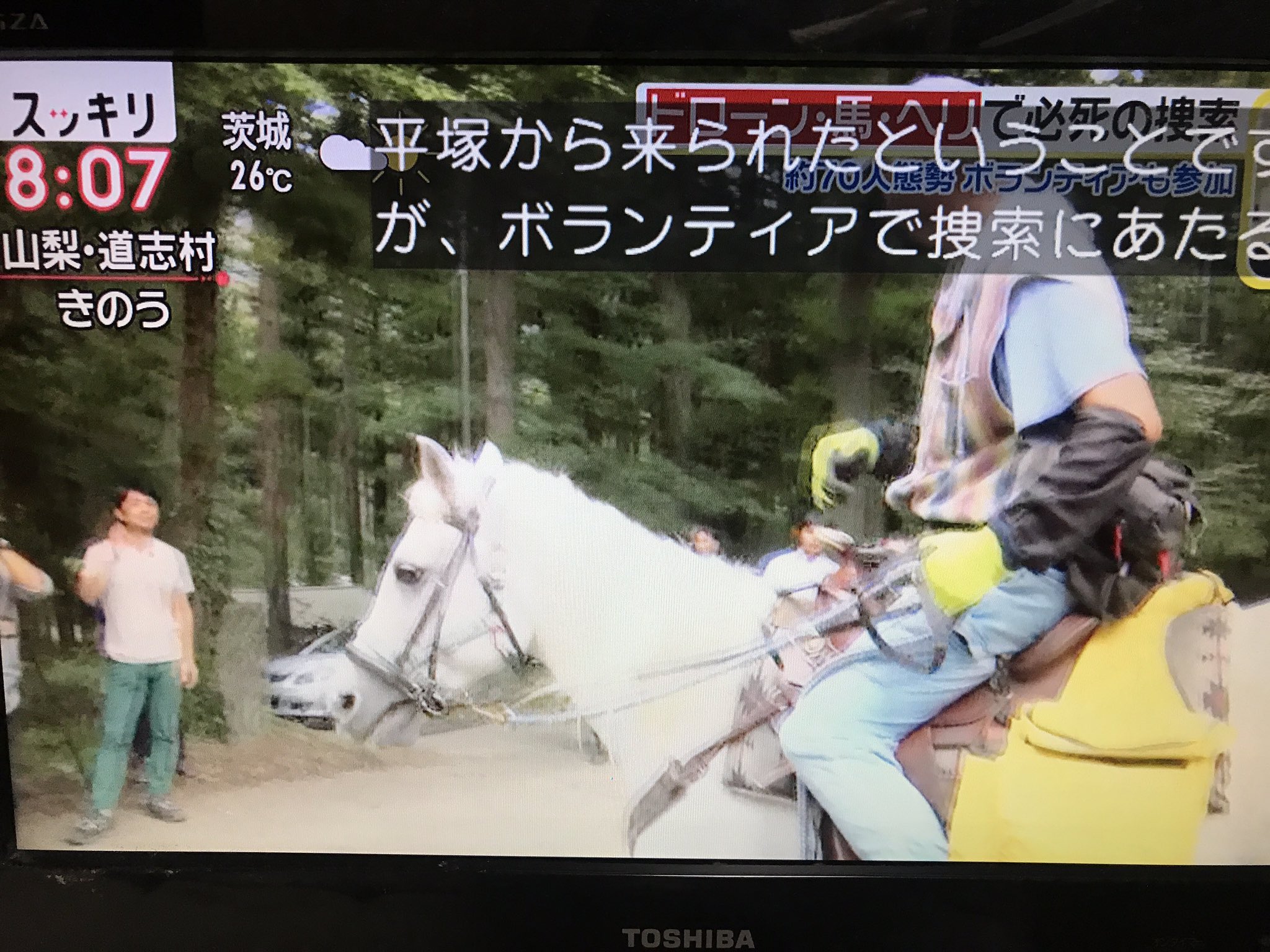 インスタ 山梨女児不明 美咲ちゃん母が犯人でない理由は？髪を切る・募金・旦那が顔出ししない理由も明らかに【道志村 不明女児】