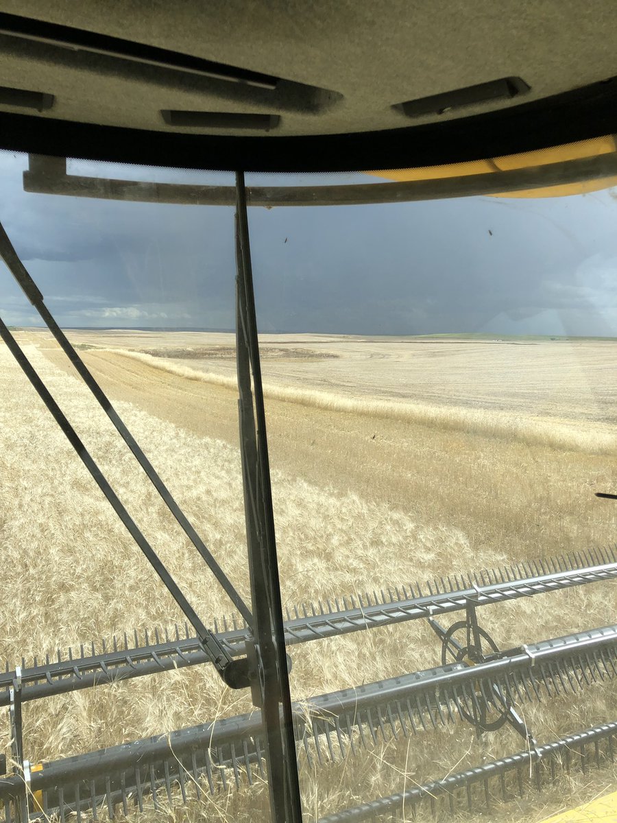 Dodged that one! #harvest2019