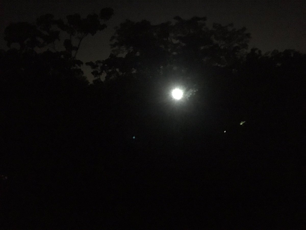 devashishbiswas's tweet image. This is great! 
As the news published, Steet lights went out in kalkaji locality, south delhi locality and since evening till this time its dark all around. 

Seems @ArvindKejriwal bringing DARK NIGHTs to identify and end dark spots.