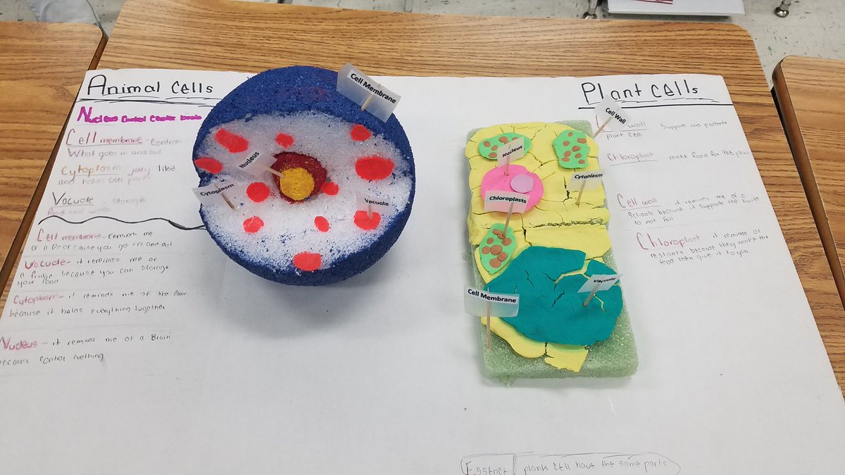 Ruleman5th's tweet photo. More amazing cell projects came in today. So impressed with everyone's creativity. #WeAreSwans @SwansCreekES #cellprojects https://t.co/bA8hvDqh9L