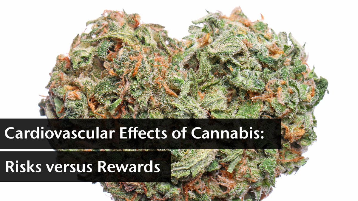 WSUvetmed's tweet photo. The Department of Integrative Physiology and Neuroscience invites you to “Cardiovascular Effects of Cannabis: Risks versus Rewards," a seminar by Dr. Lori Walker of University of Colorado at 12:10 p.m. Friday in the Veterinary Biomedical Research building, room 305. #GoCougs https://t.co/KI9sMaHpL9