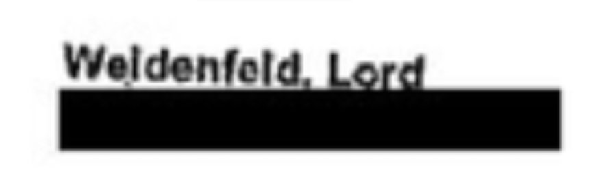 Christine Maxwell was CEO and President of Chilead Inc., the company providing the FBI with its counterterrorism database. She was also steering committee organiser for 'Remembering for the future' whose list of patrons resembles a carbon copy of Epstein's list: