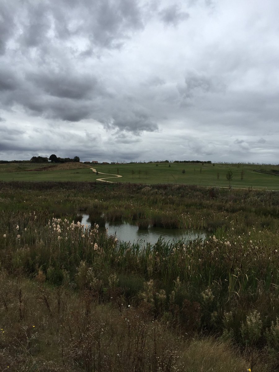 White Horse Contractors tweet media
