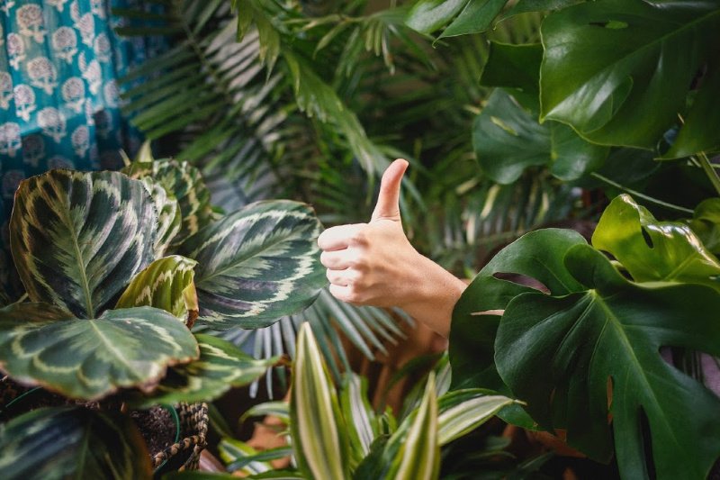 You want to rank higher? Make sure you’re getting Google Reviews! Learn why and how on the blog!

ow.ly/V9Pg50w37w6

#onlinereviewstrategy #letsgetwayward #digitalmarketingstrategy