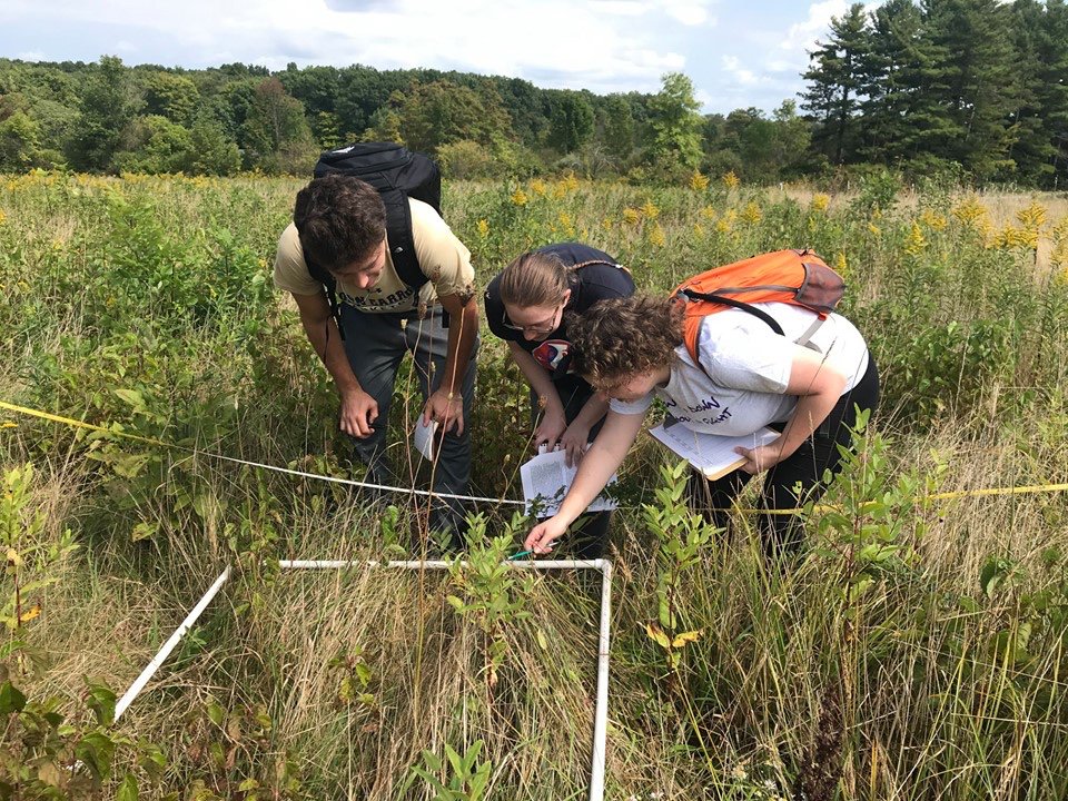 Dr. Jennifer Murphy, of John Carrol University, visited us with her Plant Ecology class to herbaceous plant community composition.
Dr. Murphy got her PhD last spring from CWRU Dept of Biology. She worked on plant competition with Dr. Jean Burns. Welcome back to the Farm Jennifer!