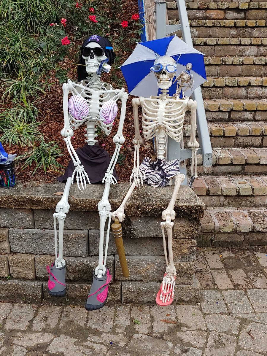 Happy Tuesday from Horace &amp; Rose! How are we all doing today?