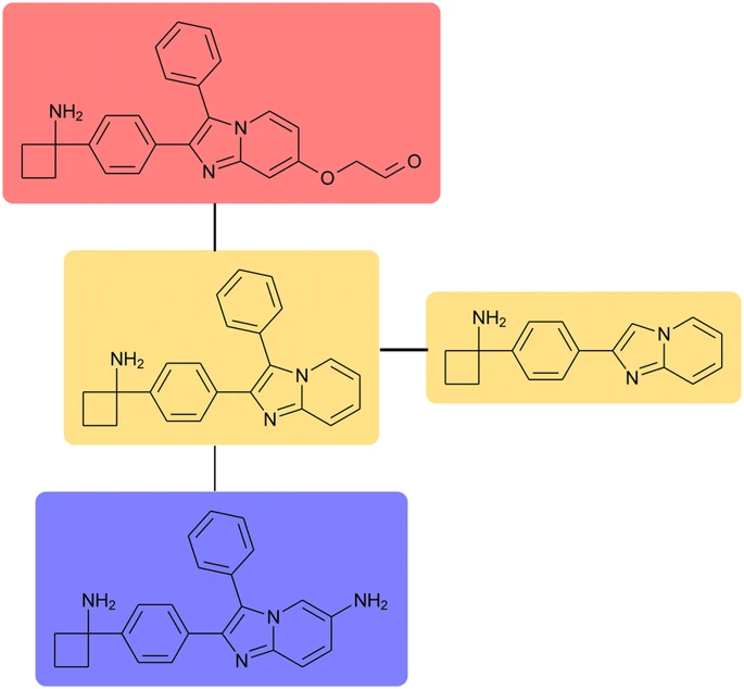 Table of Contents graphics of the article, showing three structures and a common substructure.
