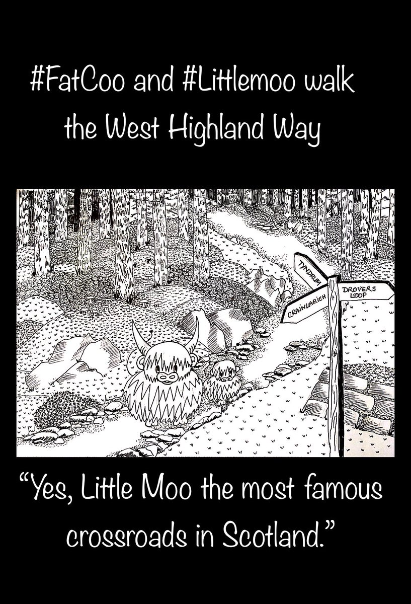 TheFatCoo's tweet photo. #Fatcoo and #LittleMoo continue walking the #westhighlandway #hikers #hiking #scotland #crainlarich #tyndrum https://t.co/cwiVGSrAPx