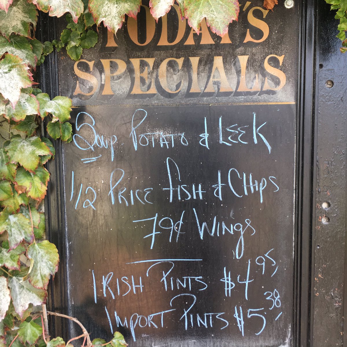 Ivy Arms tweet media