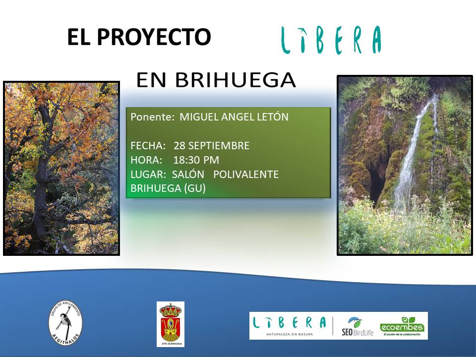 GrupoAegithalos's tweet photo. #Sabado28 nuestro coordinador dará conferencia sobre aplicación del #ProgramaLibera y los #Quejigares de #Brihuega.
Te esperamos. https://t.co/PSRDQuVlWg