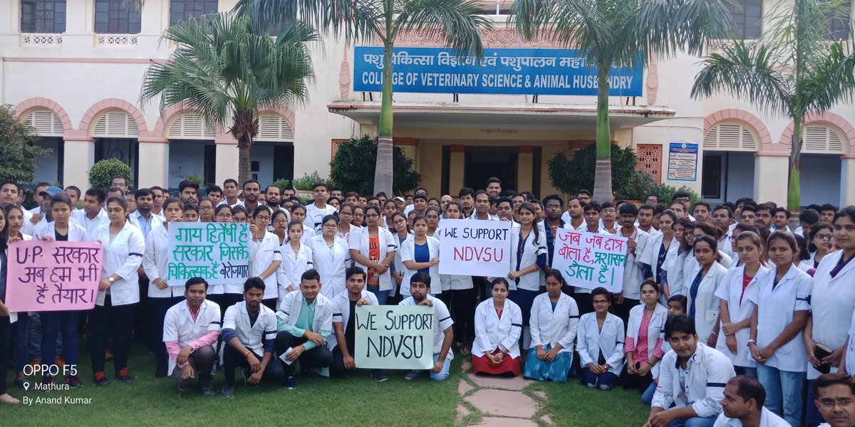U.P veterinarians craving for their existence..
"Of all the aspects of social misery nothing is so heartbreaking as unemployment" <a href="/PMOIndia/">PMO India</a> <a href="/myogiadityanath/">Yogi Adityanath</a> <a href="/UPGovt/">Government of UP</a> <a href="/ravishndtv/">ravish ndtv</a> <a href="/dhruv_rathee/">Dhruv Rathee</a>