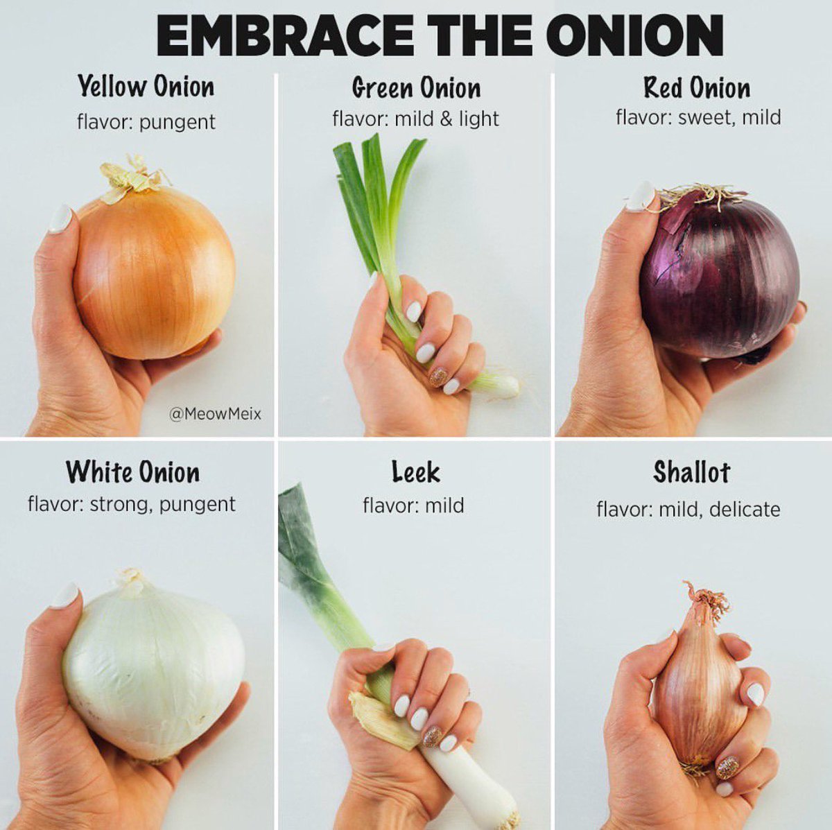 Amanda Rocchio "Onions are prebiotic, low in calories &amp; extremely high in water, making them great addition to meals if you're to lose weight. Additionally, onions are full