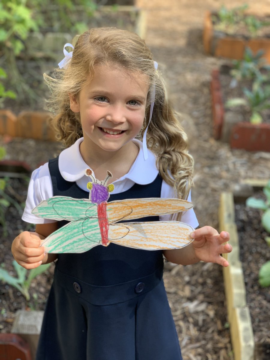 MsT_trinity's tweet image. Art and Science collaboration learning about camouflage with Kindergarten and using the garden as an outdoor classroom.#TrinityLearns @MakeSomeArt