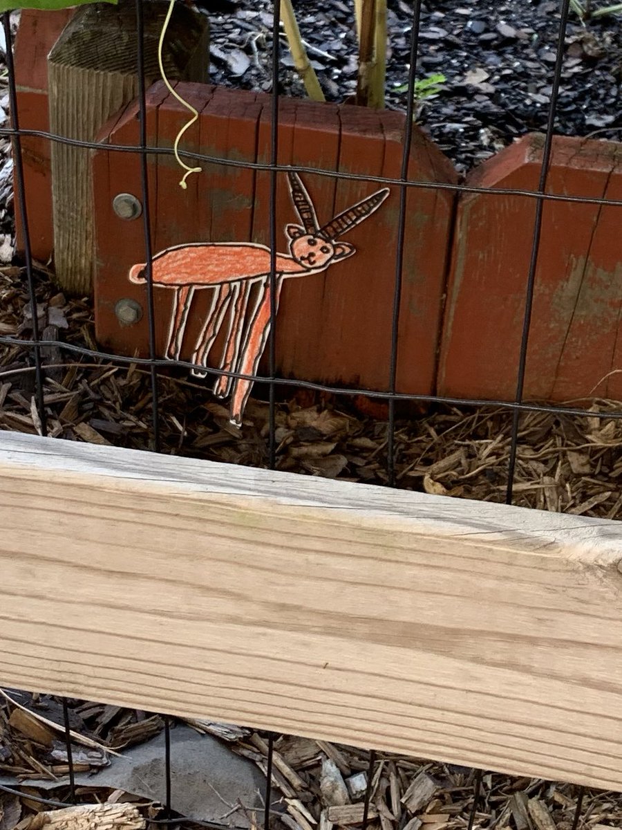 MsT_trinity's tweet image. Art and Science collaboration learning about camouflage with Kindergarten and using the garden as an outdoor classroom.#TrinityLearns @MakeSomeArt