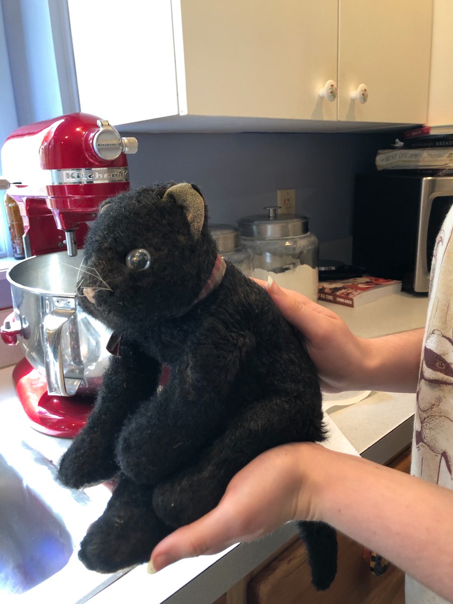 SusanWiseBauer's tweet photo. Fourteen years ago, my four-year-old daughter lost her dearest stuffed animal friend ever. Plurna was gone. We all wept. For months.

Today, my farm manager found Plurna in the woods wrapped in roots.

We washed her and she is whole.

I am speechless. https://t.co/LhEaGKpKFs