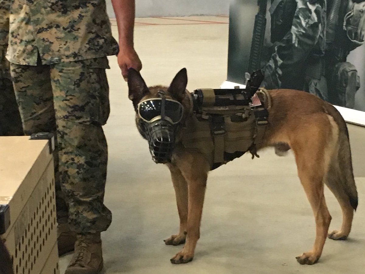 MeghannMyers_'s tweet photo. Entire trip to Lejeune is now 100% worth it. https://t.co/o5QU0020Z5
