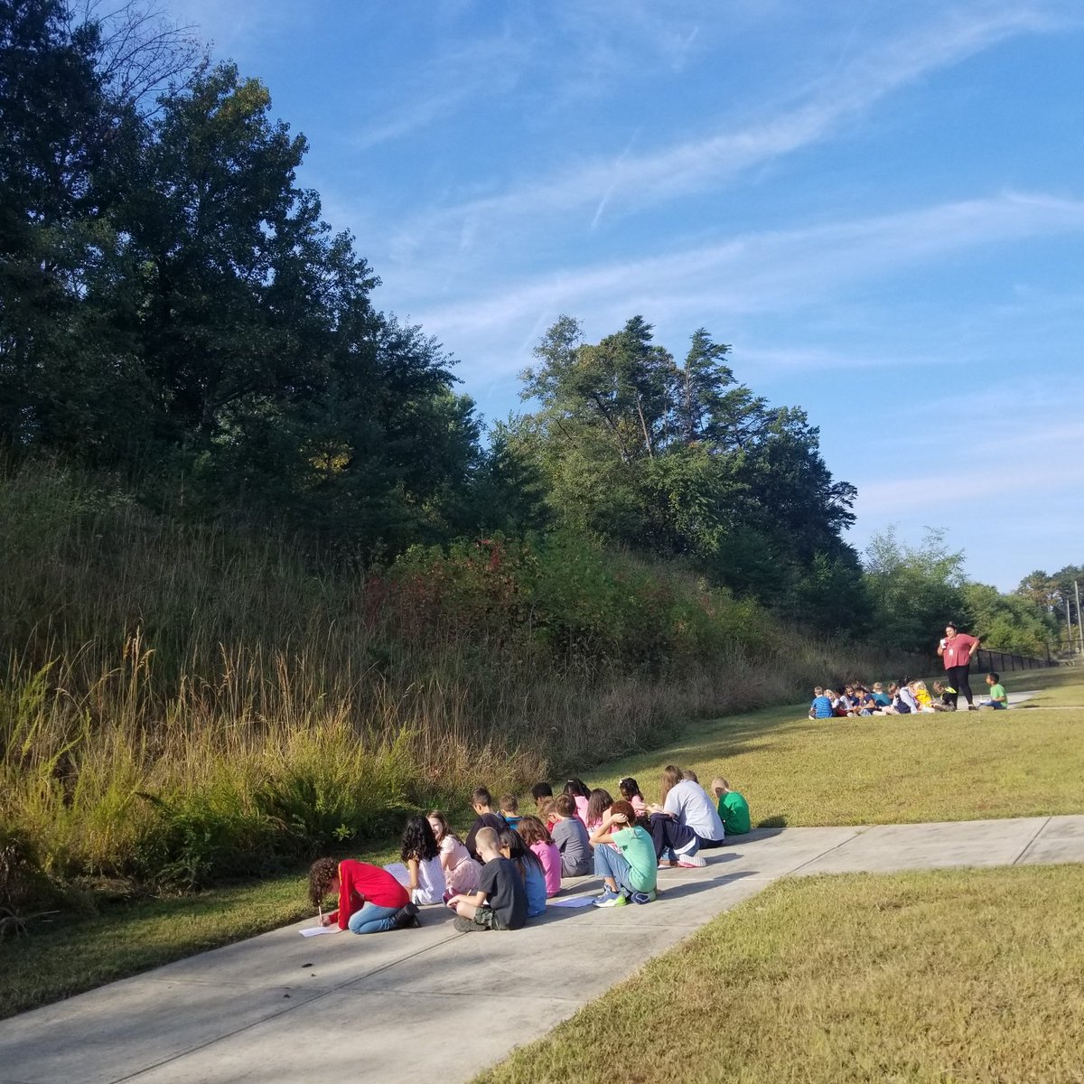 PHESGrade2's tweet image. Observing nature is #treerific! #PHESpride