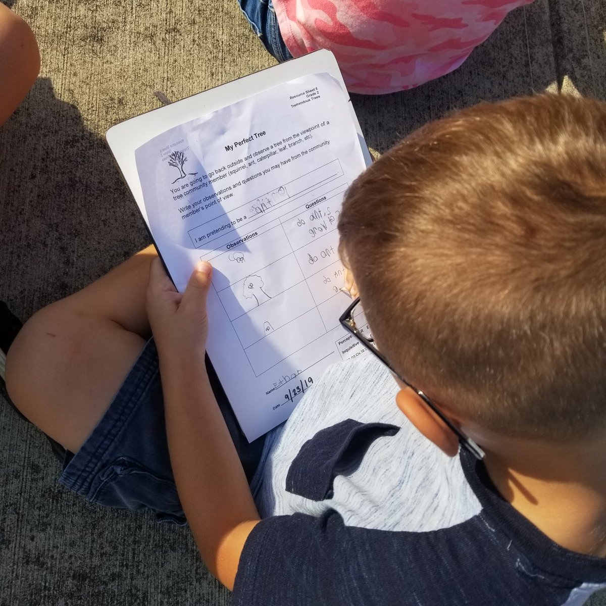 PHESGrade2's tweet image. Observing nature is #treerific! #PHESpride