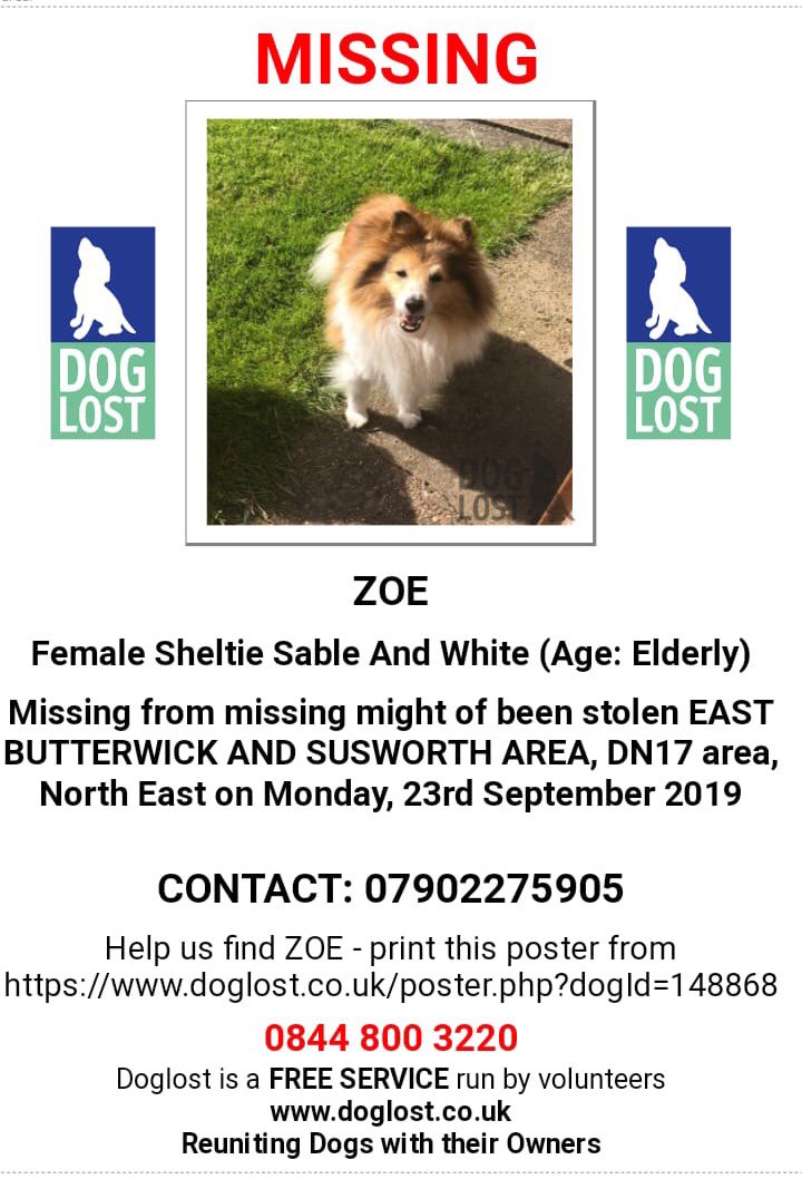 rosieDoc2's tweet photo. #findZoe possibly ran scared during #burglary OR TAKEN🤔 SHE IS 14yrs old/ALMOST blind/TOTALLY deaf 😞HOLDS HER HEAD TO THE SIDE this will be so traumatic for her😟EAST #Butterwick / #Susworth NR #Burringham #Scunthorpe DRONES HAVE BEEN OUT 🤞 #Sheltie
https://t.co/M0RmOo8VwB https://t.co/22DUNNN8QV