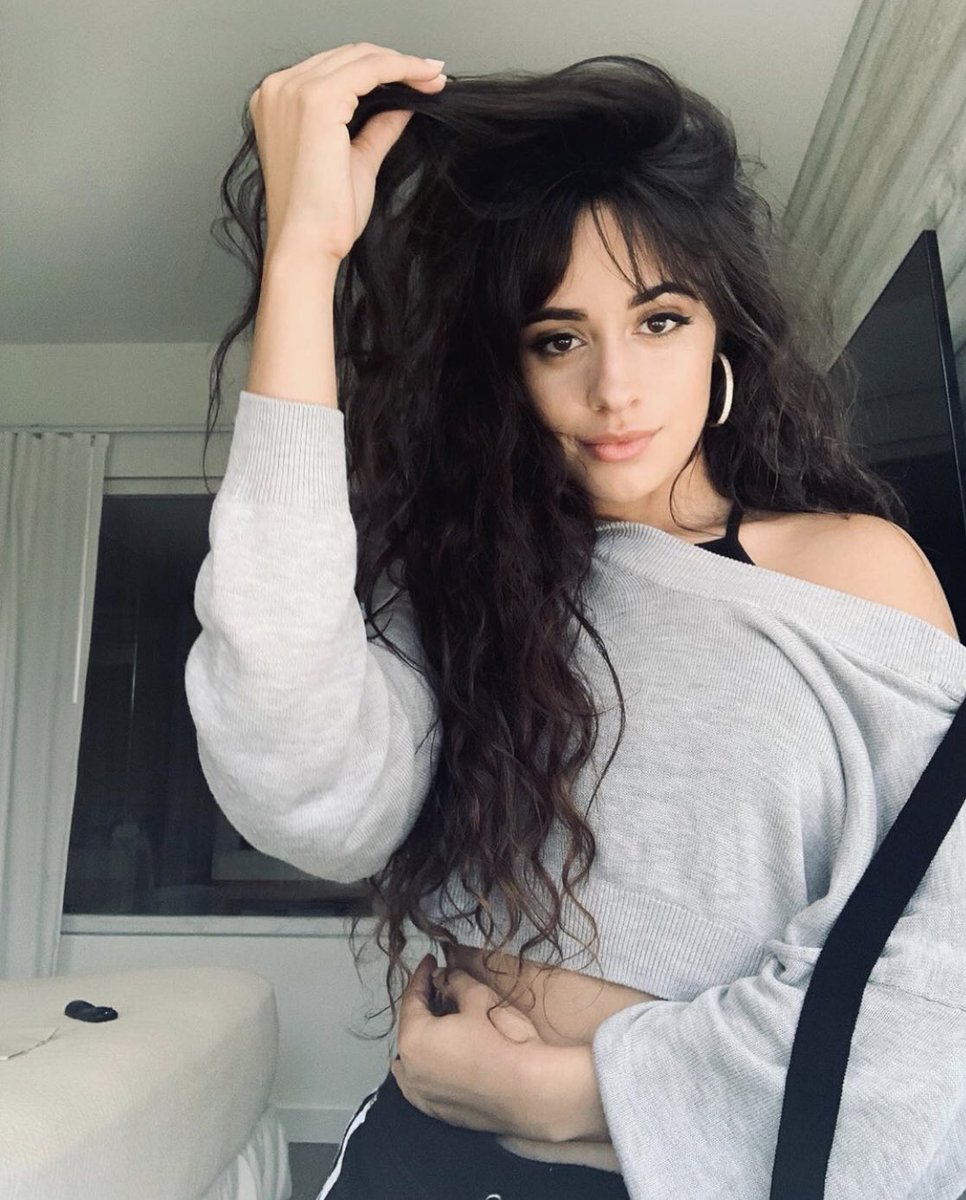 camila tweet media