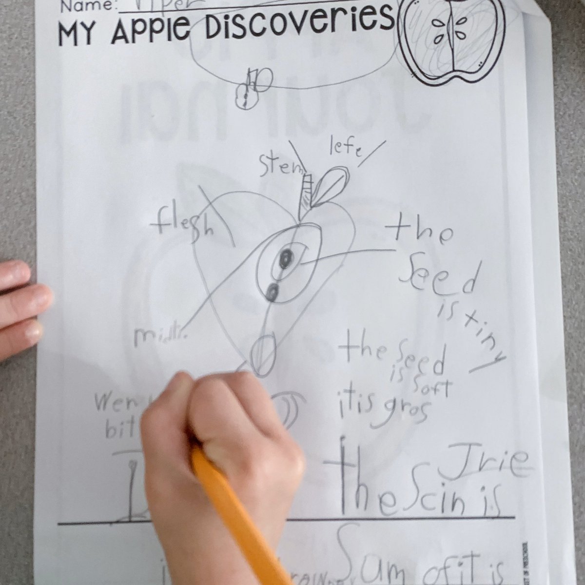 Ayanna Saunders tweet media