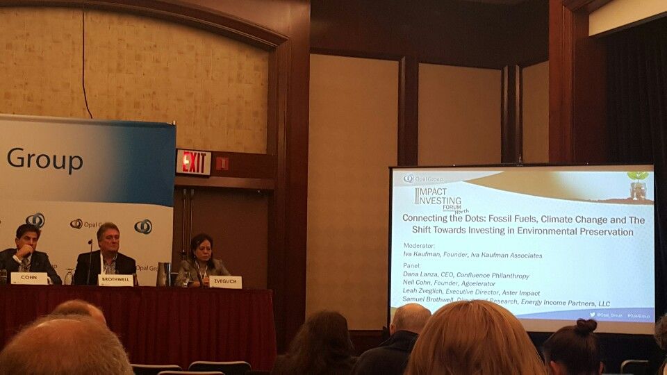 TheAsterClub's tweet image. #AsterClub through its Founder #LeahZveglich was at the #OpalImpactInvestingForum in NY. She shared her insights on how families are investing in environmental preservation while building an inclusive and circular economy.