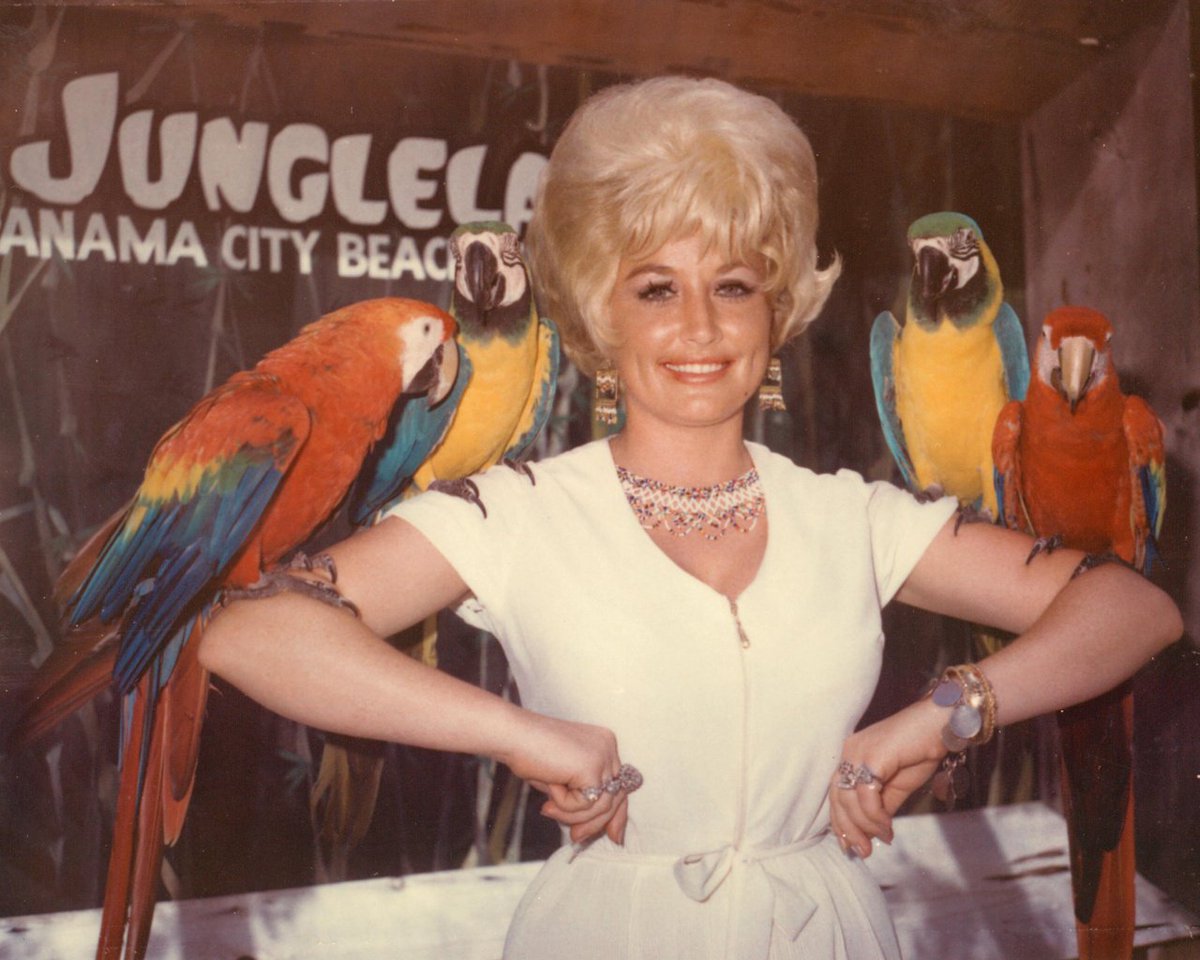 DollyParton's tweet image. Welcome to Pollywood 🐦