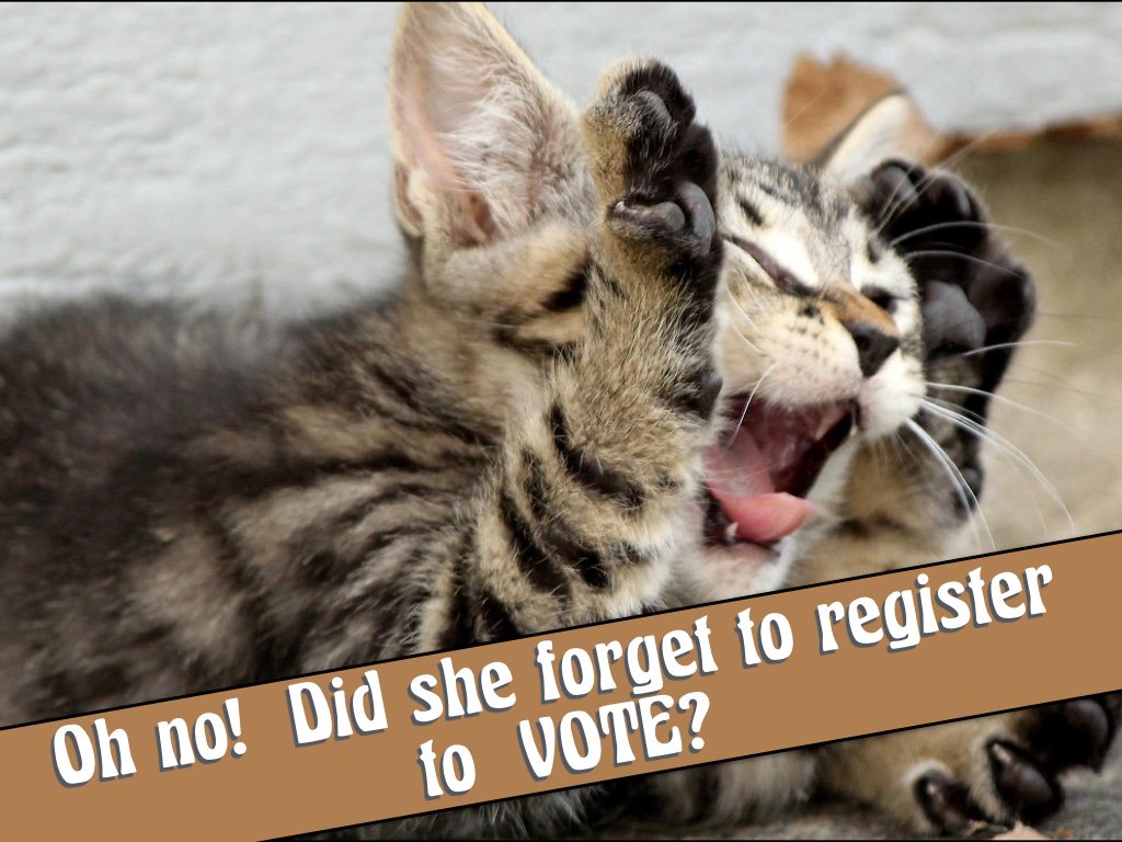 Kindly SHARE!
Voter registration ends on October 7, 2019.  
Early voting begins on October 8.