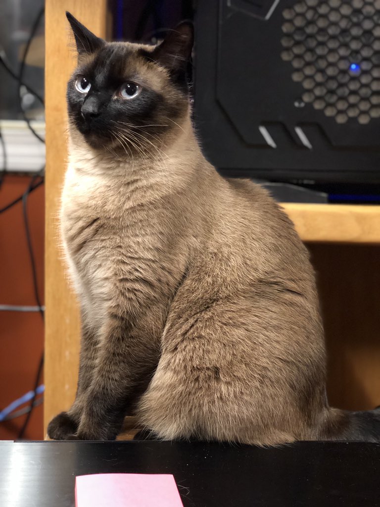 PATHOGENIC tweet media