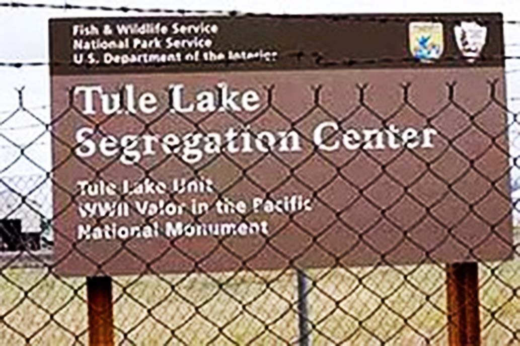 WE HEREBY REFUSE: a graphic novel tweet media