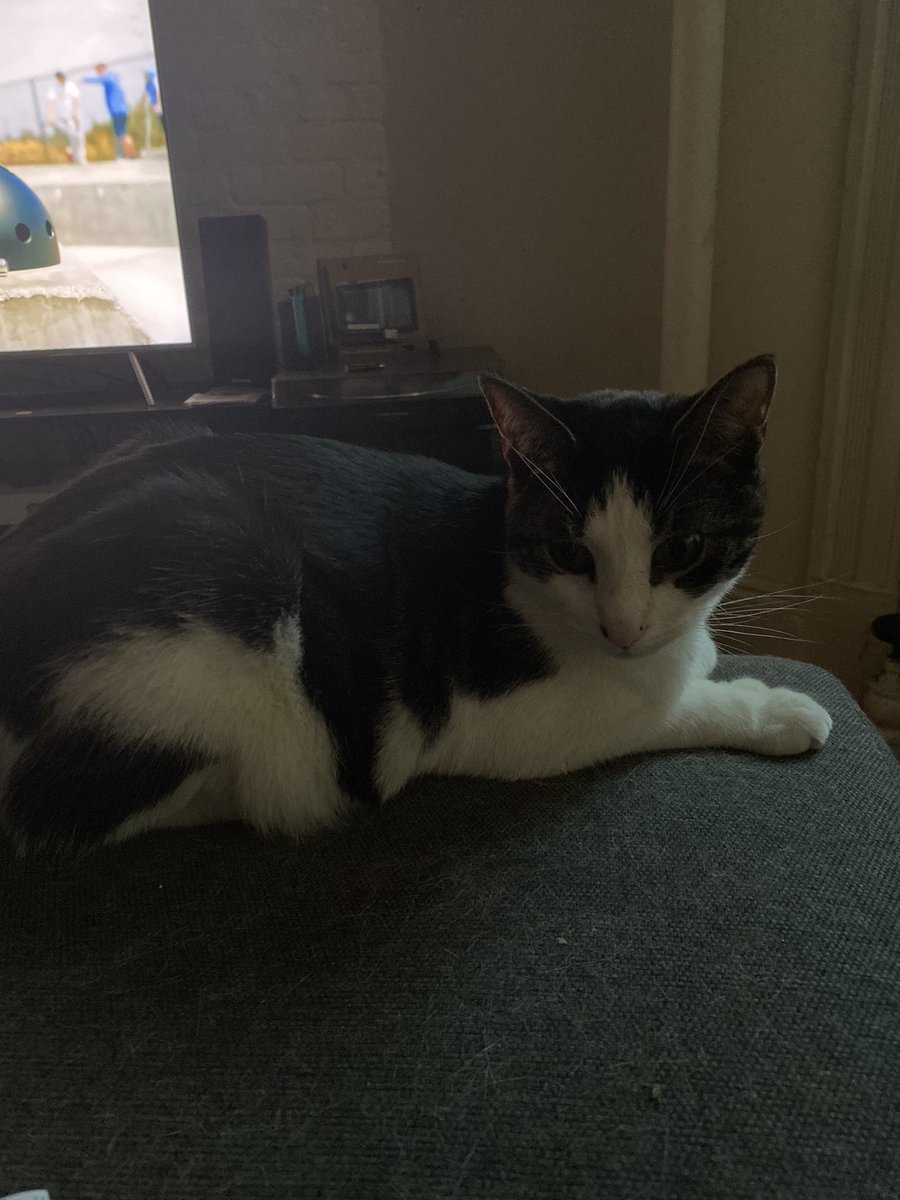 Travis Statham tweet media