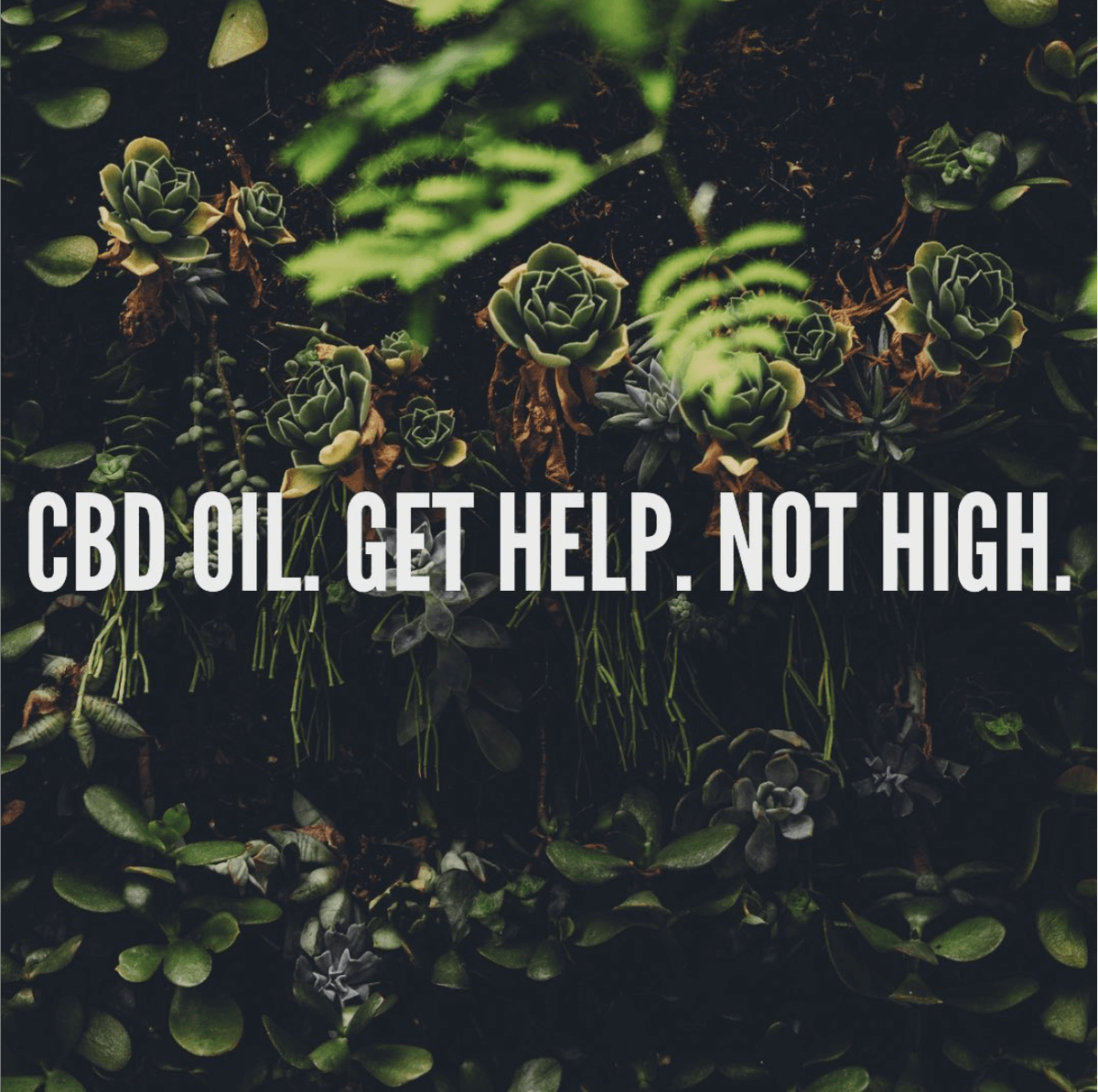 shesellshemp's tweet photo. Get Help, Not High with CBD Essence Organic Oil🌱#cbdessence #gethelpnothigh #cbdoil #cbdlife #cbdessentials #cbdvape #cbdforpain #cbdforanxiety #purecbd #organicgoodness #organiccbd #cbdedibles #cbdtinctures #cbdlotion #cbdcapsules #cbdlove #cbdforthepeople https://t.co/0cEHFl2rDP