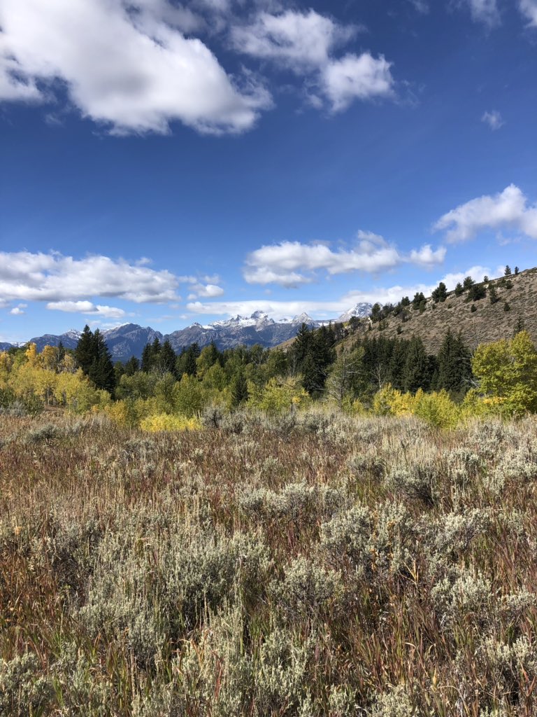 chelseaevasquez's tweet photo. (Te)tons of fun exploring on day one @tetonscience @RowlandHall #classroomwithaview #fieldtripsrock https://t.co/7w7SLK1YRq