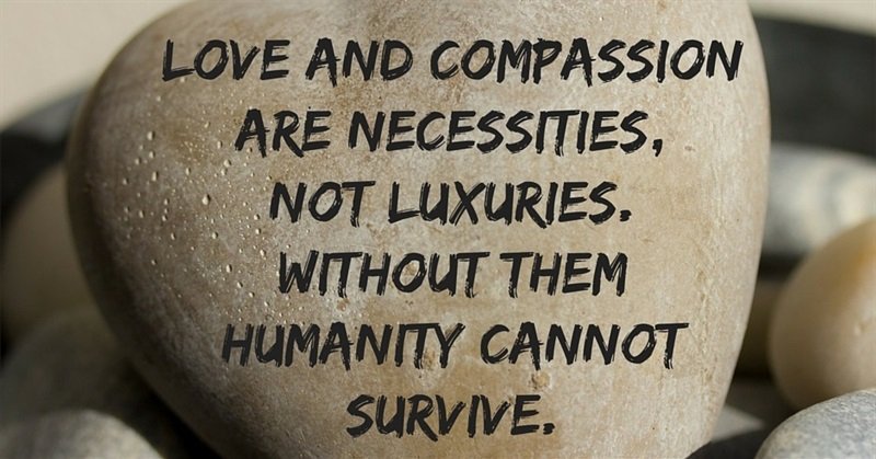 "Constant kindness can accomplish much. As the sun makes ice melt, kindness causes misunderstanding, mistrust, and hostility to evaporate." 
Albert Schweitzer