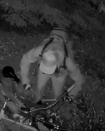 HelenaMTPolice's tweet photo. Officer Eric Koester is looking for assistance in identifying the male in the photos below in regards to an attempted theft of bikes. Information contact Officer Koester 457-8865 or ekoester@helenamt.gov.

Tips can be left with Crime Stoppers at 443-2000 https://t.co/4mgM9OjmxR. https://t.co/zHMiO3mIDt