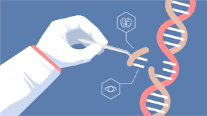 LCPerthes's tweet photo. Webinar Alert - Tomorrow! ** 

More gene therapy knowledge from NORD! After decades of research and development, gene therapy is becoming a clinical reality in the US. With the first gene therapies already approved and many more in the pipeline - https://t.co/5PVYo4Vu1j https://t.co/w0nBnx1q8I