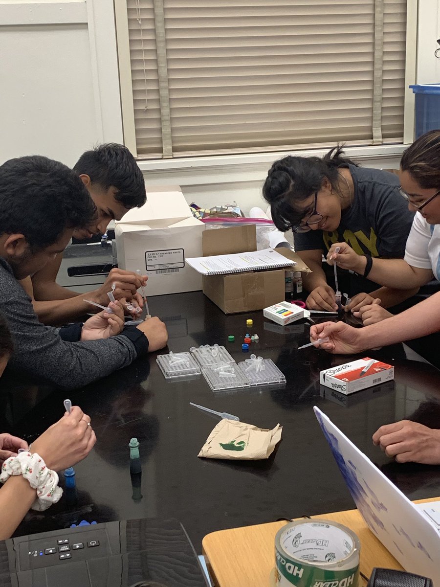 sci4dorkz's tweet photo. Working on micropippet skills !! Go biotech peer learning ๐งฌ ๐ฌ @ephsofficial #sciencegang https://t.co/G0yVtWXxwN