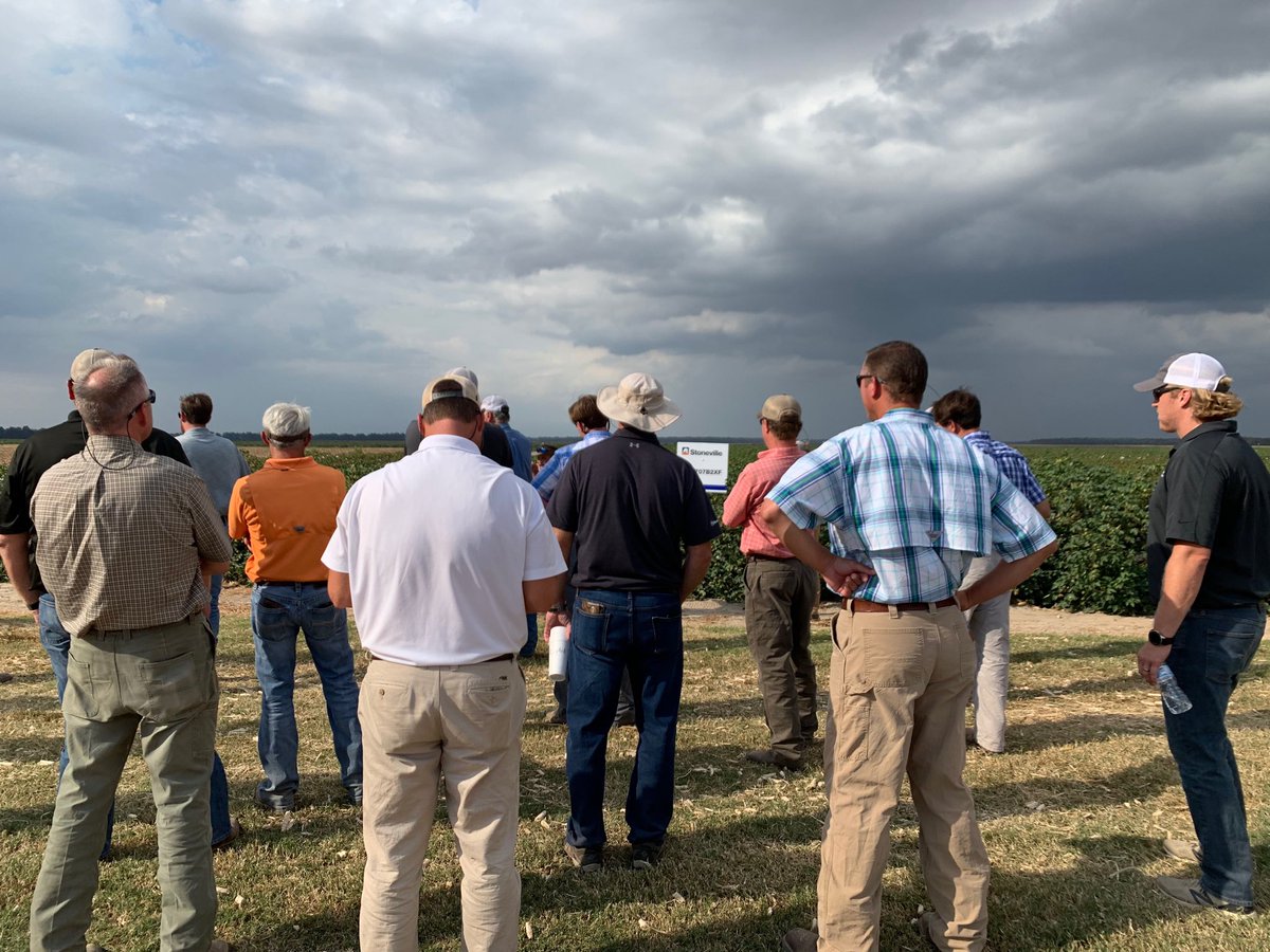 PlutoLong's tweet photo. BASF field day Stoneville plots. #Stoneville #BASF #Nutrien https://t.co/OafHLOGs5U