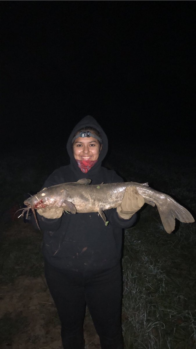 ohio_fins's tweet photo. big blue tonight 😈🙌🏼 #bluecatfish #catfishing #catfish #fishing #fishinglife #nightfishing https://t.co/BXa9VK3khd