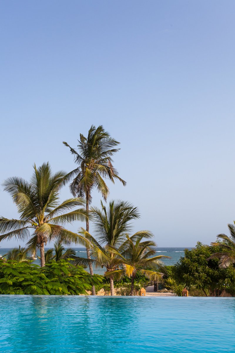 MsetoTravel's tweet photo. @MedinaPalmsKE

#whyilovekenya #watamu #travel #holidays #kenya #travelandleisure #beach #africa #indianocean #swahilistyle #luxury #magicalkenya #everyoneswelcome #christmas #beachlife https://t.co/JhRb5FuUYo