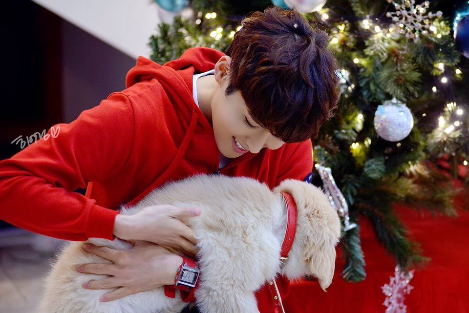 hi so i’m moving to a new account <a href="/AURORAWOOK/">kate • hiatus</a> because i feel like a lot of people have me muted and stuff on here 

please rt and like this so i can spread the word and all my moots can find out where i have gone! thank you!!