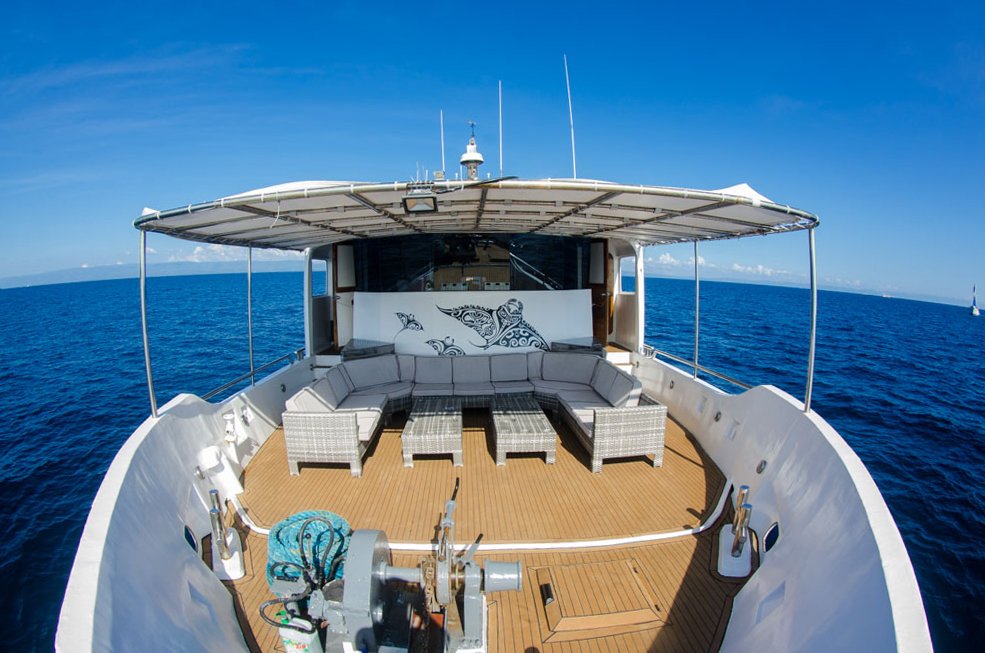 View our SOS Fares ! Season Opening Special Fares Seadoors Liveaboard Philippines - 
-500euros deals and special charter deals !! 
more details on : 
mailchi.mp/52a3de046e20/s…
contact info@seadoors.net