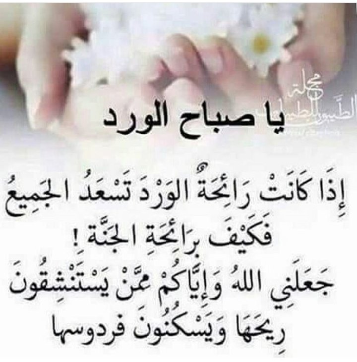 suhelaljore's tweet image. 