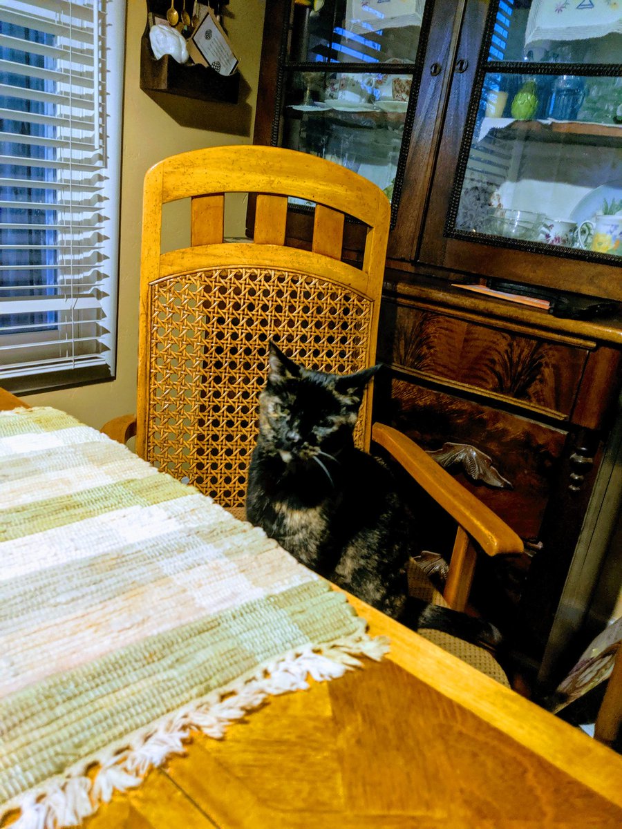 chiggin1's tweet photo. Was going to have dinner a JPs in Castro Valley but they were too busy watching the Giants so I grabbed some kfc and #gidget decided to join me as I ate and tuned in the game at home. #Athletics #BatchingIt https://t.co/YU8FTDxao7