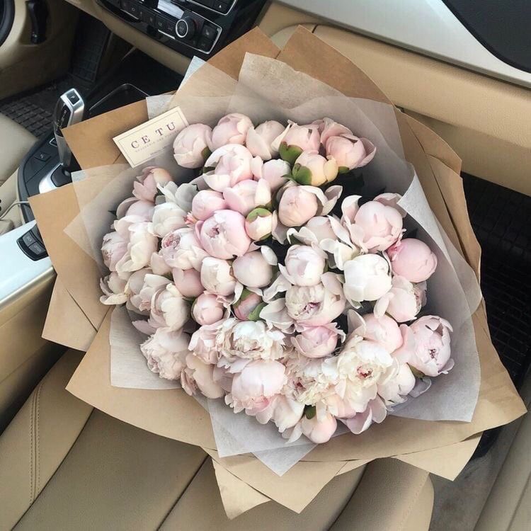 rusyazlaya's tweet photo. 😻 https://t.co/PumVeIeQac