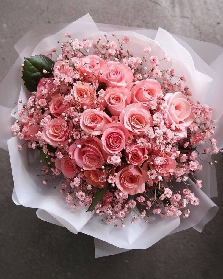 rusyazlaya's tweet photo. 😻 https://t.co/PumVeIeQac
