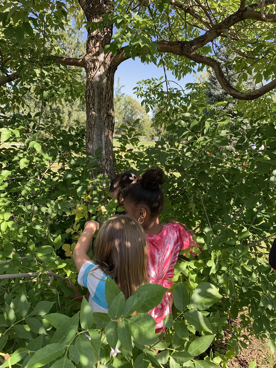 Jennifer Reilly tweet media