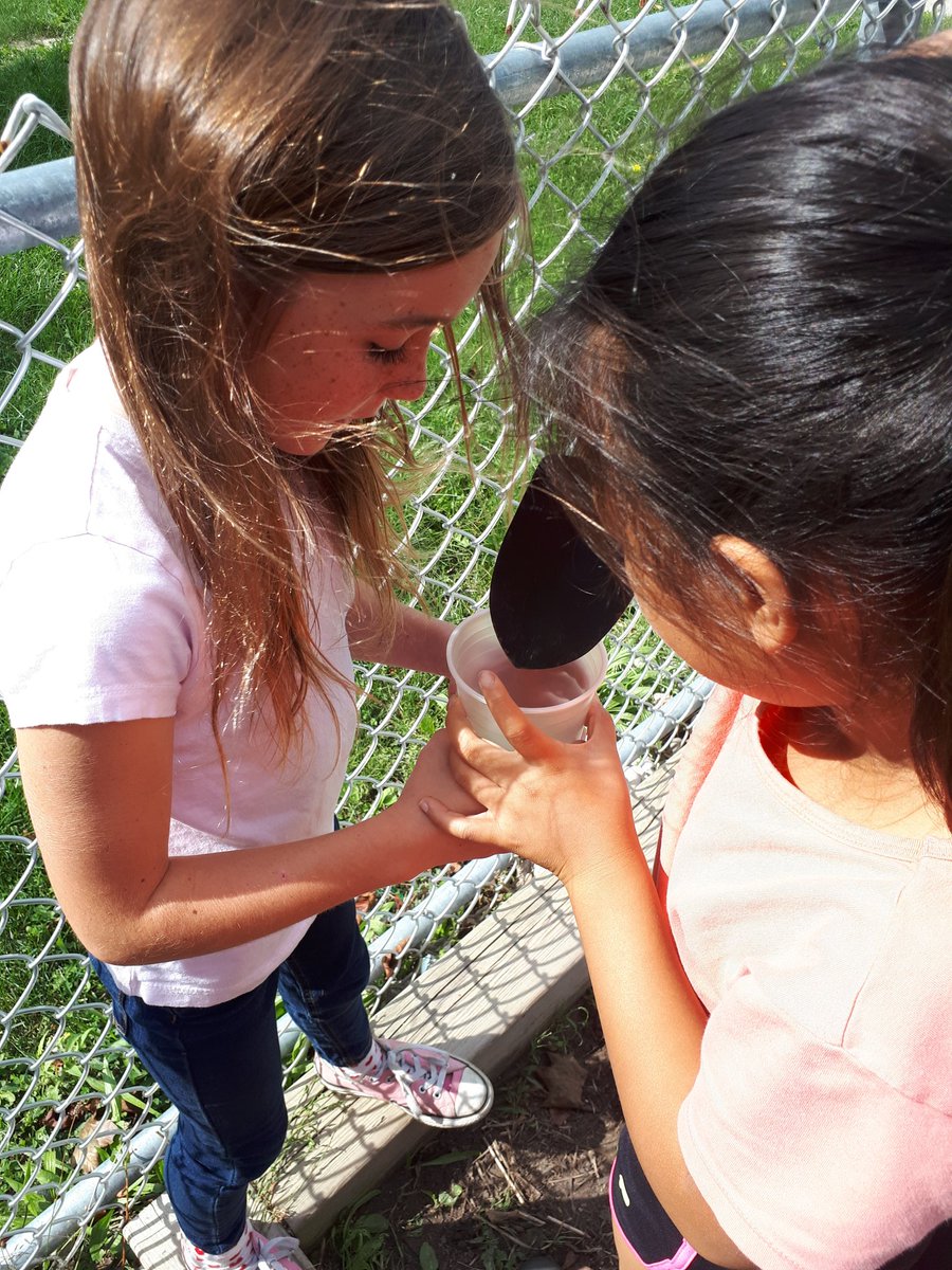 Melissa Tarte (@mrstartesclass2) on Twitter photo During or Doing the #inquiry! We went out on this beautiful day to collect our samples and discover just what is in soil. #sharing excitement together for a common purpose-priceless! #sharingtheplanet #caring <a href="/EcoGlenwood/">Glenwood EcoSchools</a> <a href="/gecdsbpro/">GECDSB PR</a> <a href="/MsAwender/">Ms Awender</a> During or Doing the #inquiry! We went out on this beautiful day to collect our samples and discover just what is in soil. #sharing excitement together for a common purpose-priceless! #sharingtheplanet #caring <a href="/EcoGlenwood/">Glenwood EcoSchools</a> <a href="/gecdsbpro/">GECDSB PR</a> <a href="/MsAwender/">Ms Awender</a>