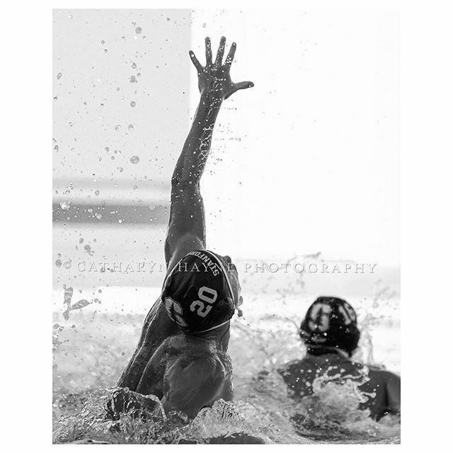 catharyn4's tweet image. September 20, 2019; Avery Aquatic Center, Palo Alto, California, USA; UC Santa Barbara Gauchos vs Stanford University Cardinals; Stanford Driver Larsen Weigle; Photo credit: @catharynhaynephoto #wasserball #pallanuoto #turbowp #kap7 #stanfordmwp #sonyalp… ift.tt/2n21SxD