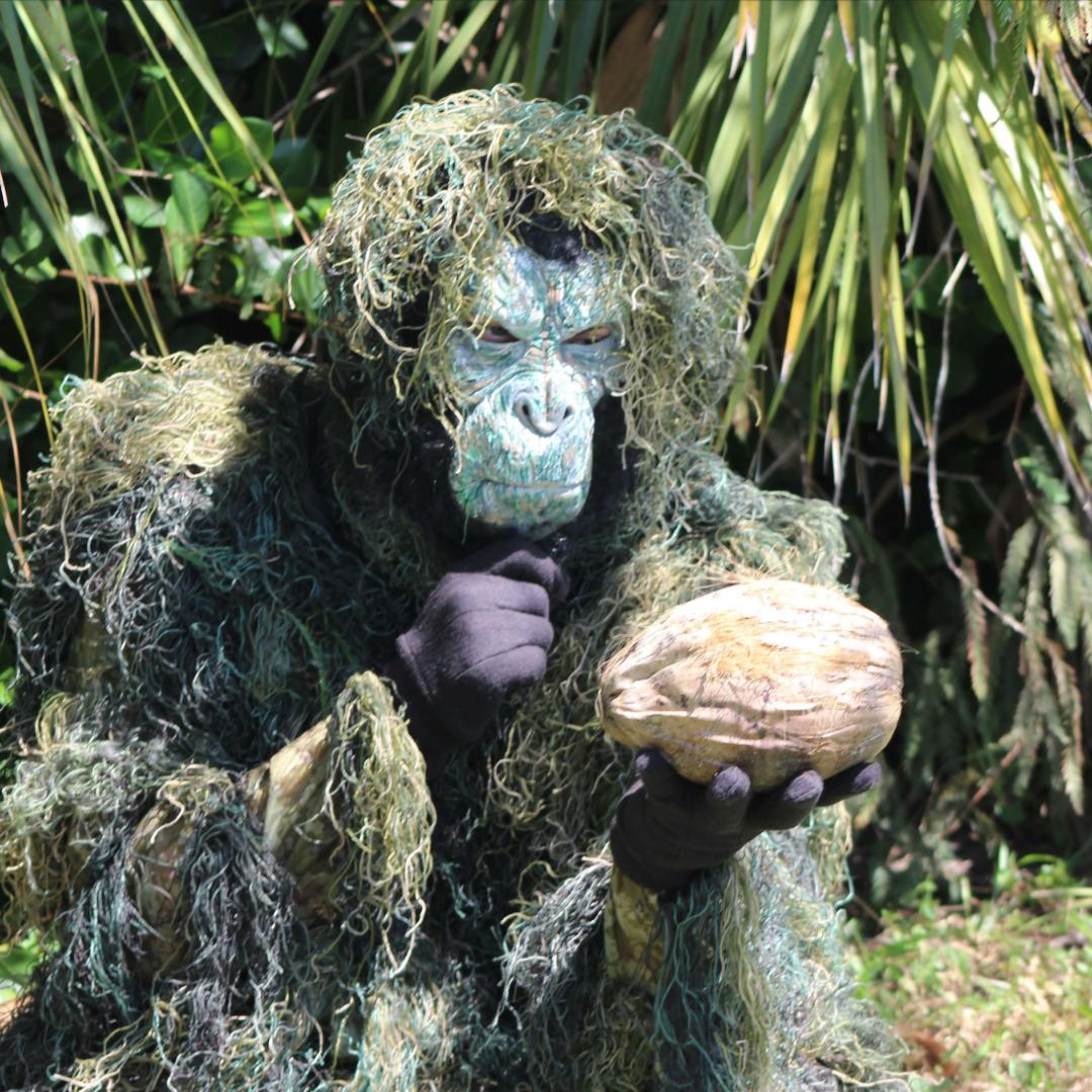 SwampApeReview's tweet photo. Does Florida even have a fall? Do you know what to do with all these coconuts?

Our submission window is open through Nov 1! https://t.co/Hvw9apPFT0